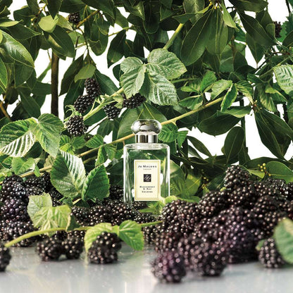 Jo Malone London Blackberry & Bay Cologne Eau De Cologne