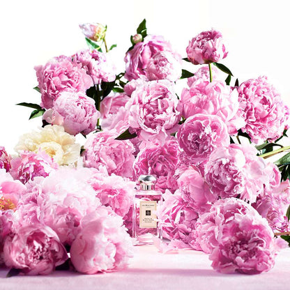Jo Malone London Peony & Blush Suede Cologne Eau De Cologne