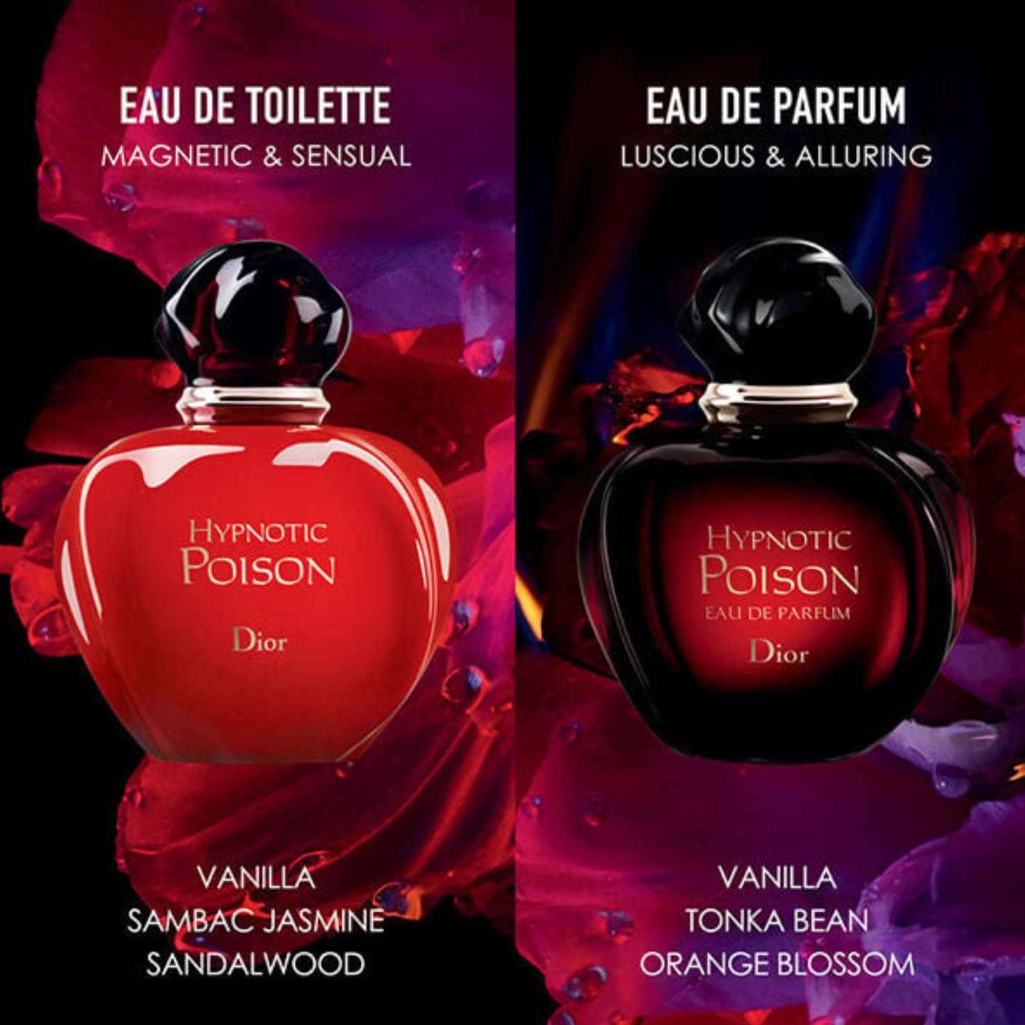 Dior Hypnotic Poison Eau de Toilette – Perfume Outlet Bulgaria