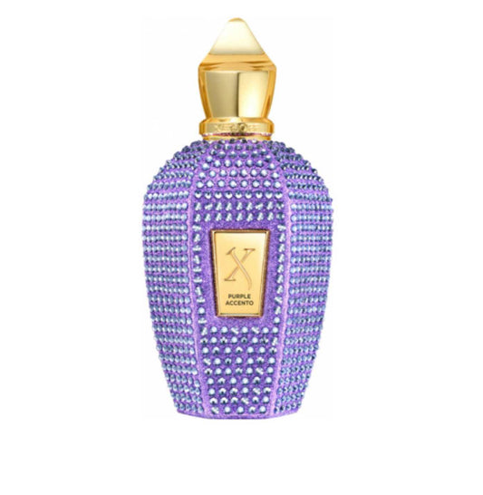 Xerjoff 100 мл Xerjoff V Purple Accento Eau De Parfum